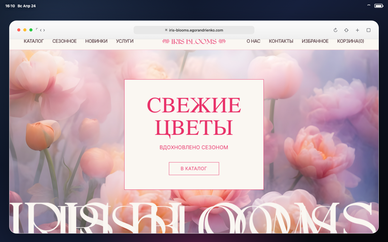 [ visual · new storefront ]